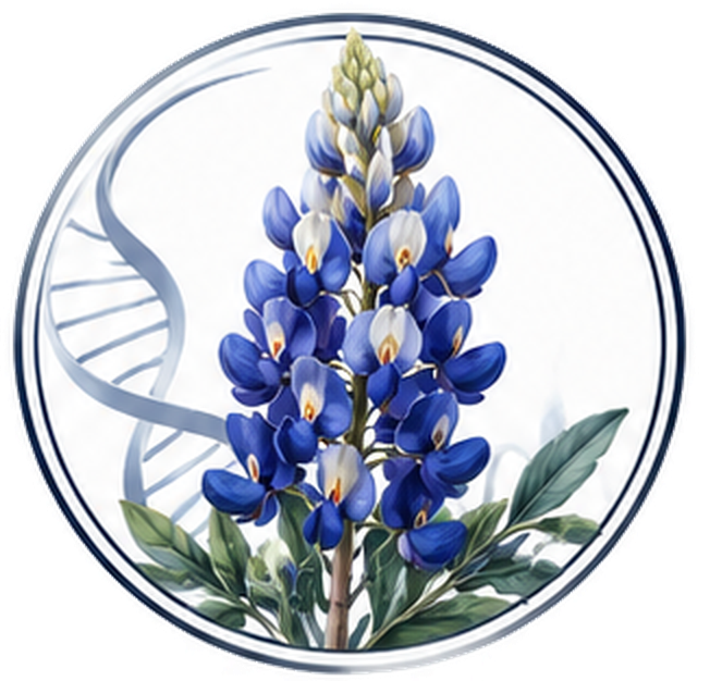 A Texas bluebonnet inside a circle with a DNA helix