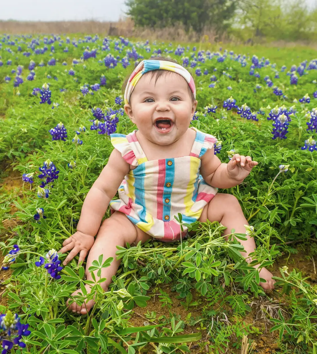 Una bebé riendo sentada en un campo de bluebonnets